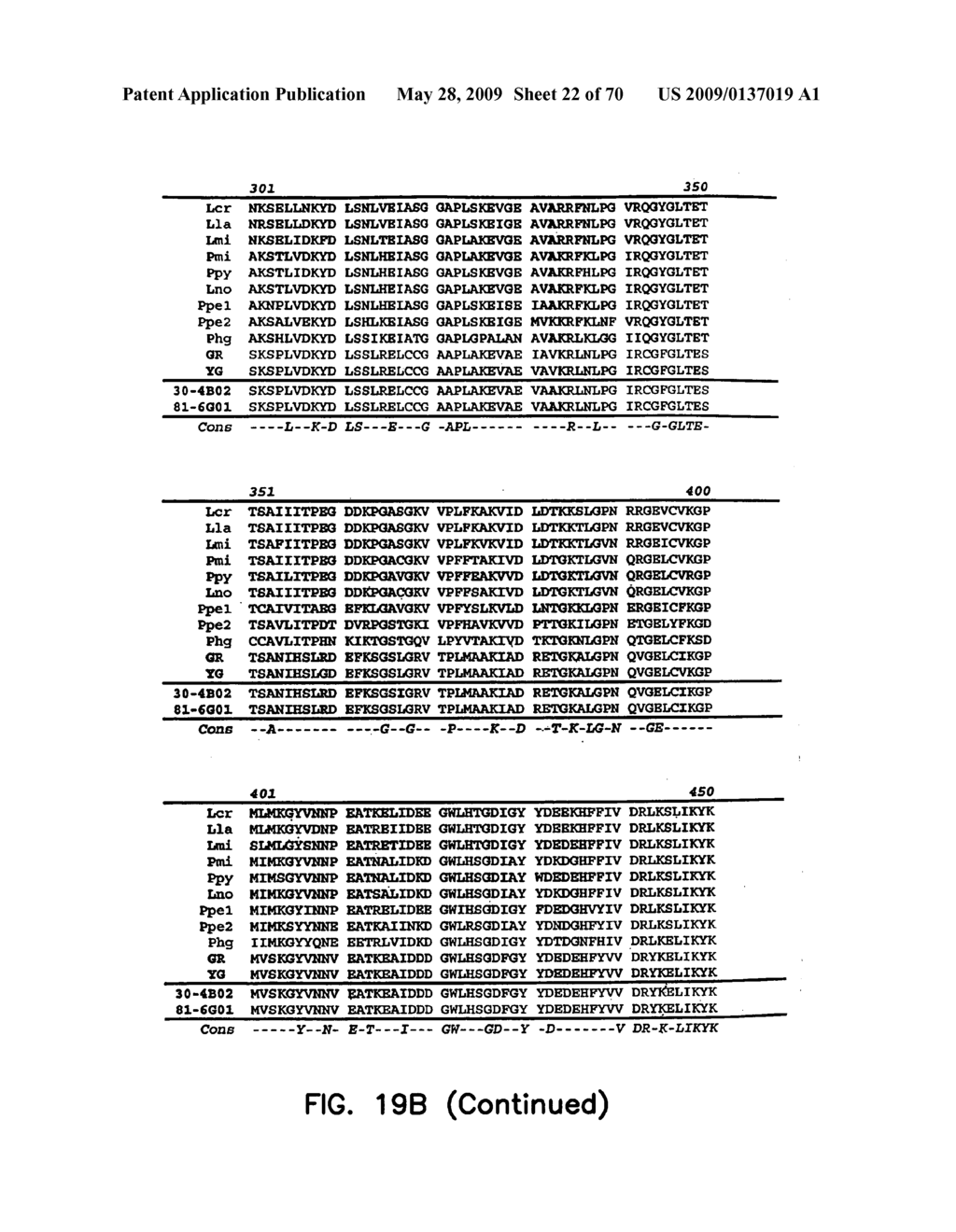 Thermostable luciferases and methods of production - diagram, schematic, and image 23