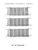 Thermostable luciferases and methods of production diagram and image