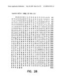 Thermostable luciferases and methods of production diagram and image