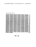 Thermostable luciferases and methods of production diagram and image