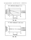 Thermostable luciferases and methods of production diagram and image