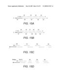 SOLID PHASE METHODS FOR POLYNUCLEOTIDE PRODUCTION diagram and image