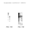 SOLID PHASE METHODS FOR POLYNUCLEOTIDE PRODUCTION diagram and image