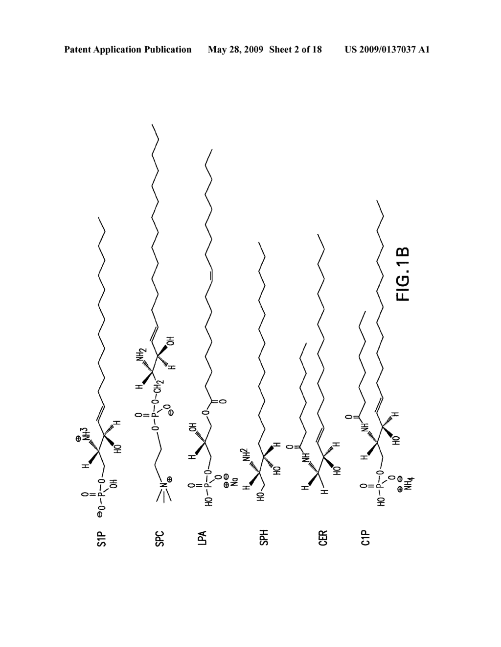 NUCLEIC ACIDS CODING FOR HUMANIZED ANTIBODIES FOR BINDING SPHINGOSINE-1-PHOSPHATE - diagram, schematic, and image 03