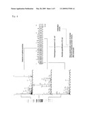 Artificial protein, method for absolute quantification of proteins and uses thereof diagram and image