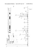 Artificial protein, method for absolute quantification of proteins and uses thereof diagram and image