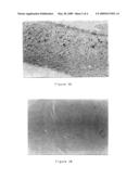 Monoclonal Antibodies Directed Against The Microtubule-Associated Protein Tau diagram and image