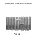 ISOLATING CHIP-TO-CHIP CONTACT diagram and image