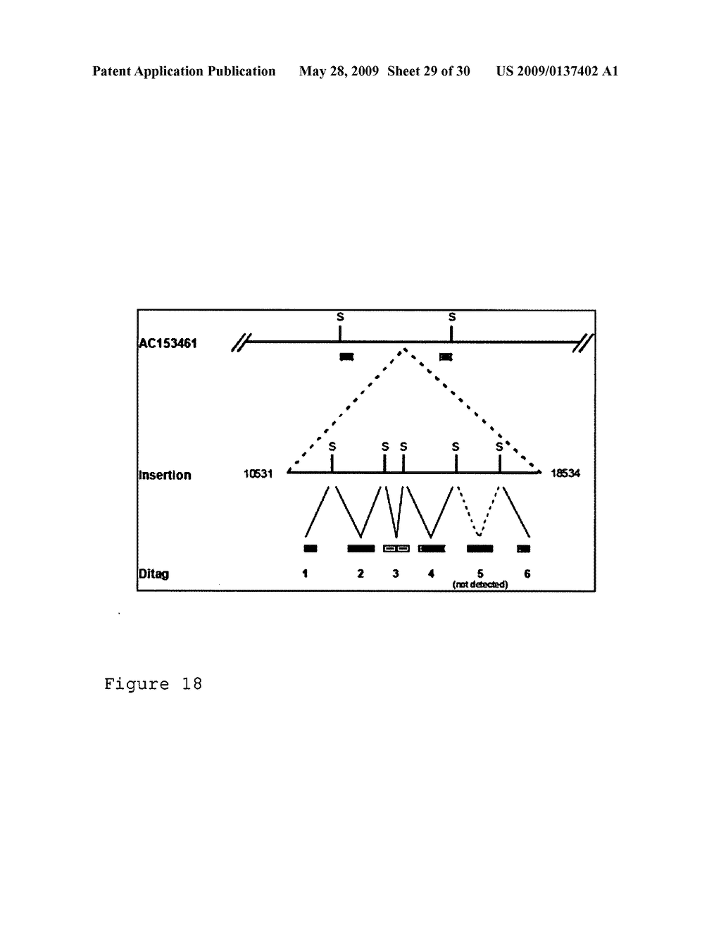 Ditag genome scanning technology - diagram, schematic, and image 30