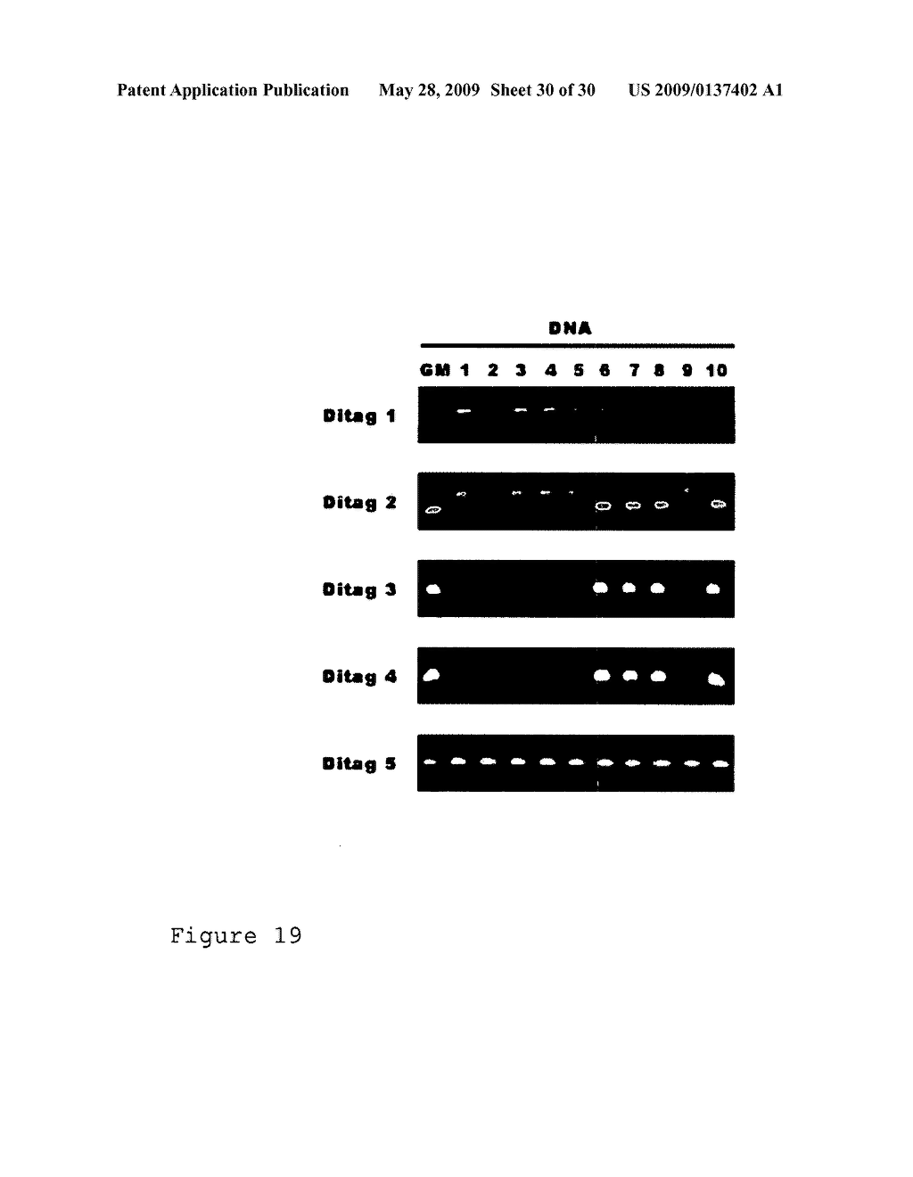 Ditag genome scanning technology - diagram, schematic, and image 31