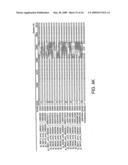 SUBTRACTIVE SEPARATION AND AMPLIFICATION OF NON-RIBOSOMAL TRANSCRIBED RNA (nrRNA) diagram and image