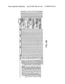 SUBTRACTIVE SEPARATION AND AMPLIFICATION OF NON-RIBOSOMAL TRANSCRIBED RNA (nrRNA) diagram and image