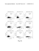 Microarray-Based Gene Copy Number Analyses diagram and image