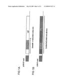 Method for generating hypermutable organisms diagram and image