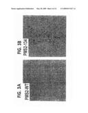 Method for generating hypermutable organisms diagram and image