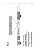 Method for generating hypermutable organisms diagram and image