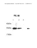 Method for generating hypermutable organisms diagram and image