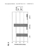 Method for generating hypermutable organisms diagram and image