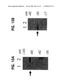 Method for generating hypermutable organisms diagram and image