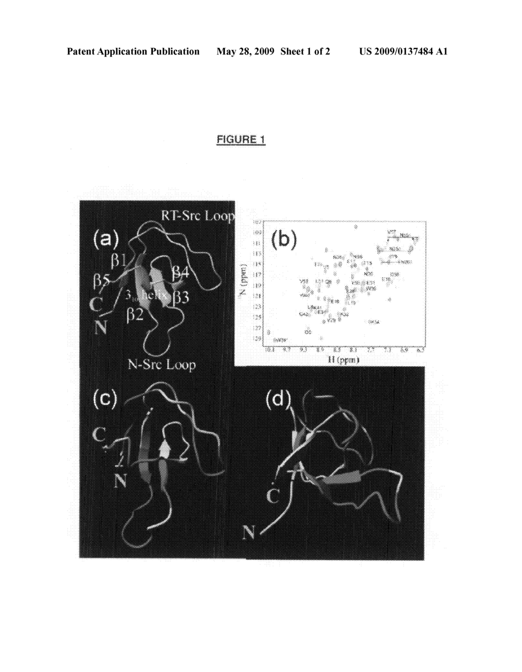 Neuronal Network-Interacting Peptide - diagram, schematic, and image 02