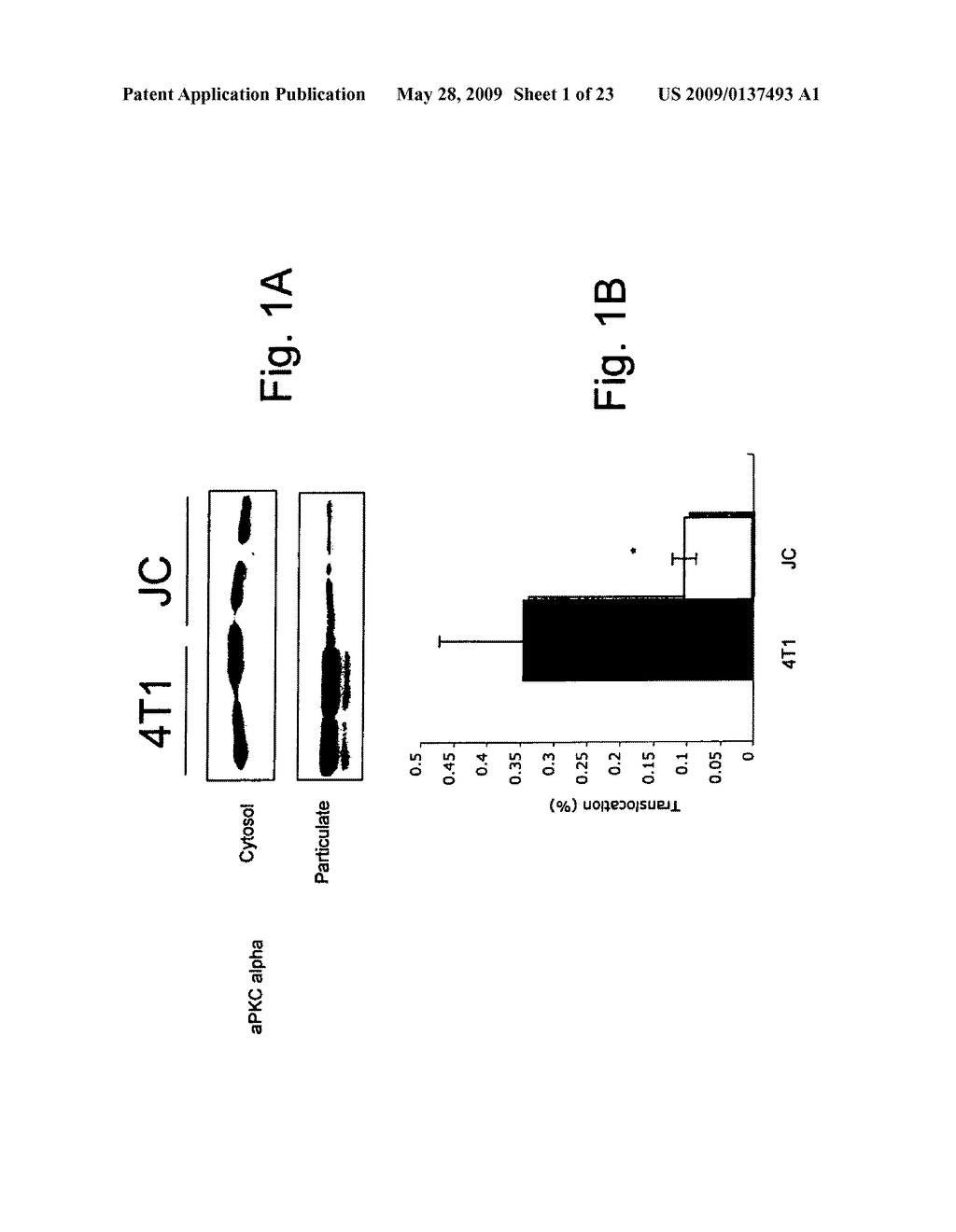 Inhibition of tumor metastases using protein kinase C (PKC) inhibitors - diagram, schematic, and image 02