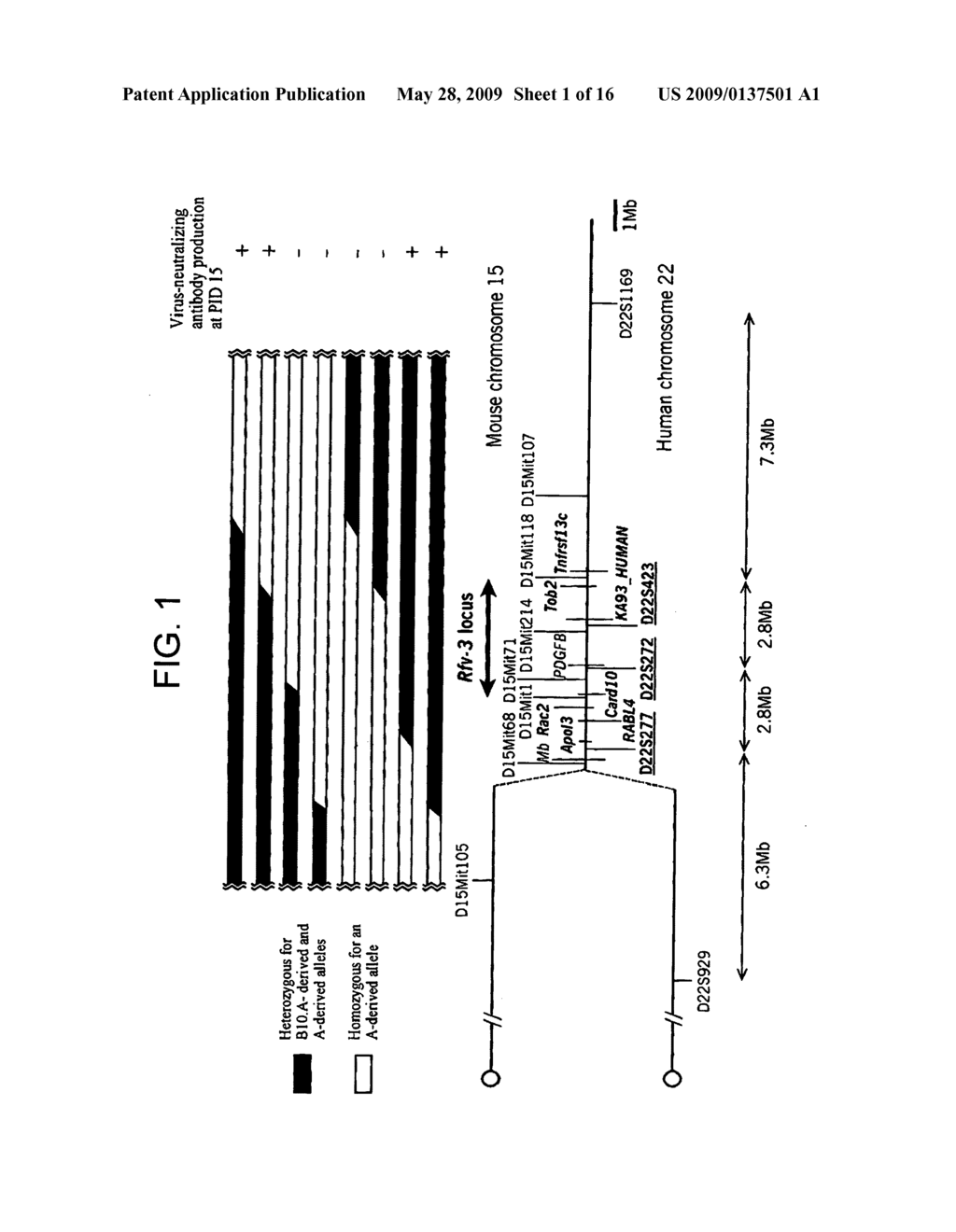 Resistance Genes - diagram, schematic, and image 02