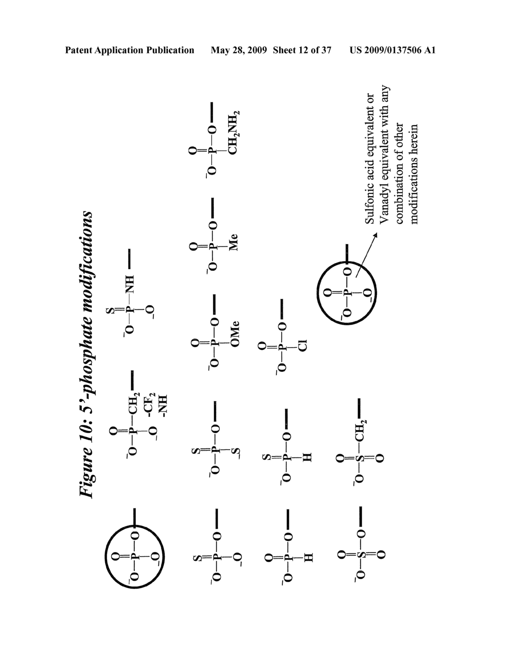 RNA Interference Mediated Inhibition of Cyclic Nucleotide Type 4 Phosphodiesterase (PDE4B) Gene Expression Using Short Interfering Nucleic Acid (siNA) - diagram, schematic, and image 13