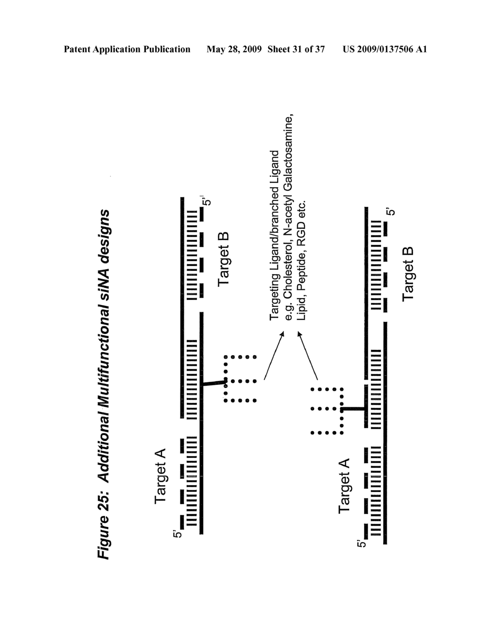 RNA Interference Mediated Inhibition of Cyclic Nucleotide Type 4 Phosphodiesterase (PDE4B) Gene Expression Using Short Interfering Nucleic Acid (siNA) - diagram, schematic, and image 32