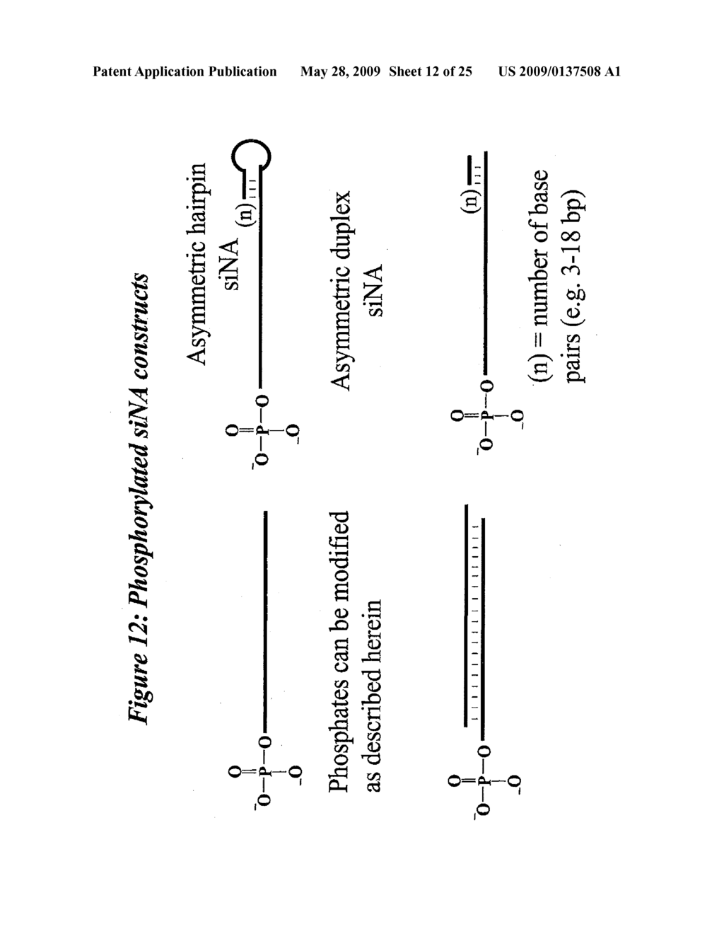 RNA INTERFERENCE MEDIATED INHIBITION OF POLYCOMB GROUP PROTEIN EZH2 GENE EXPRESSION USING SHORT INTERFERING NUCLEIC ACID (siNA) - diagram, schematic, and image 13