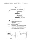 RNA Interference Mediated Inhibition of Cyclin D1 Gene Expression Using Short Interfering Nucleic Acid (siNA) diagram and image