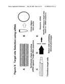 RNA Interference Mediated Inhibition of Cyclin D1 Gene Expression Using Short Interfering Nucleic Acid (siNA) diagram and image