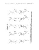 RNA Interference Mediated Inhibition of Cyclin D1 Gene Expression Using Short Interfering Nucleic Acid (siNA) diagram and image