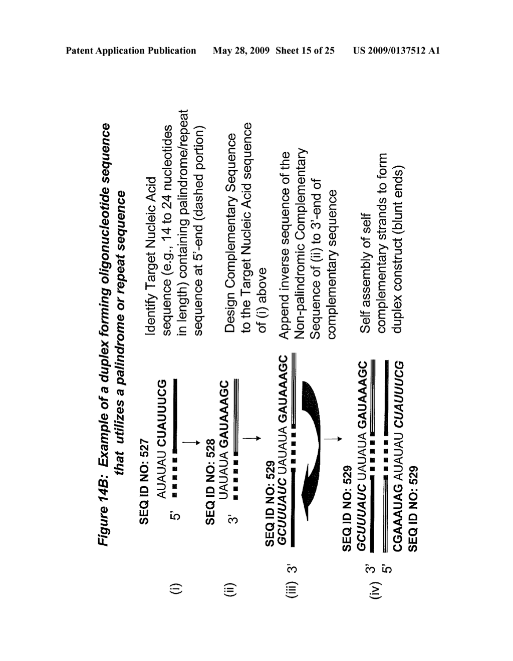 RNA Interference Mediated Inhibition of Cyclin D1 Gene Expression Using Short Interfering Nucleic Acid (siNA) - diagram, schematic, and image 16