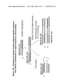 RNA Interference Mediated Inhibition of Cyclin D1 Gene Expression Using Short Interfering Nucleic Acid (siNA) diagram and image