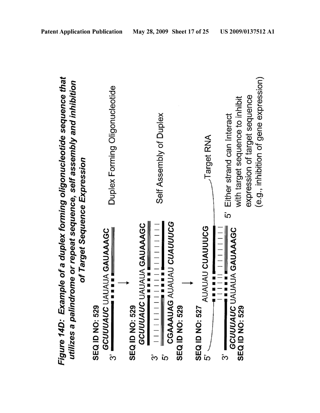 RNA Interference Mediated Inhibition of Cyclin D1 Gene Expression Using Short Interfering Nucleic Acid (siNA) - diagram, schematic, and image 18