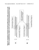 RNA Interference Mediated Inhibition of Cyclin D1 Gene Expression Using Short Interfering Nucleic Acid (siNA) diagram and image