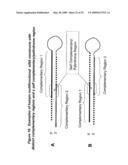 RNA Interference Mediated Inhibition of Cyclin D1 Gene Expression Using Short Interfering Nucleic Acid (siNA) diagram and image