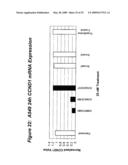 RNA Interference Mediated Inhibition of Cyclin D1 Gene Expression Using Short Interfering Nucleic Acid (siNA) diagram and image