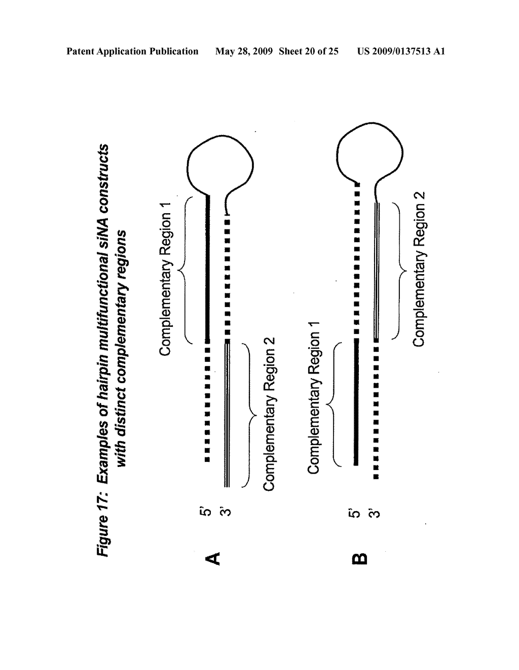 RNA Interference Mediated Inhibition of Acetyl-CoA-Carboxylase Gene Expression Using Short Interfering Nucleic Acid (siNA) - diagram, schematic, and image 21