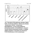 Pharmaceutical Composition on Basis of Reverse Transcriptase Inhibitor and Meldonium diagram and image