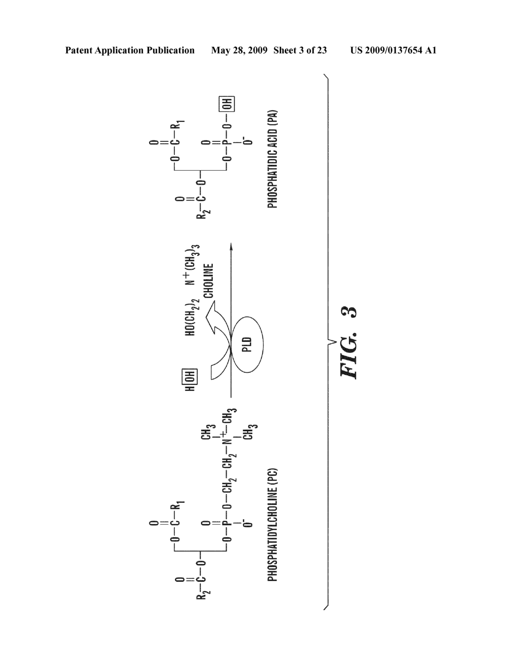 METHODS OF MODULATING BINDING OF SON OF SEVENLESS TO PHOSPHATIDIC ACID AND IDENTIFYING COMPOUNDS THAT MODULATE SUCH BINDING - diagram, schematic, and image 04