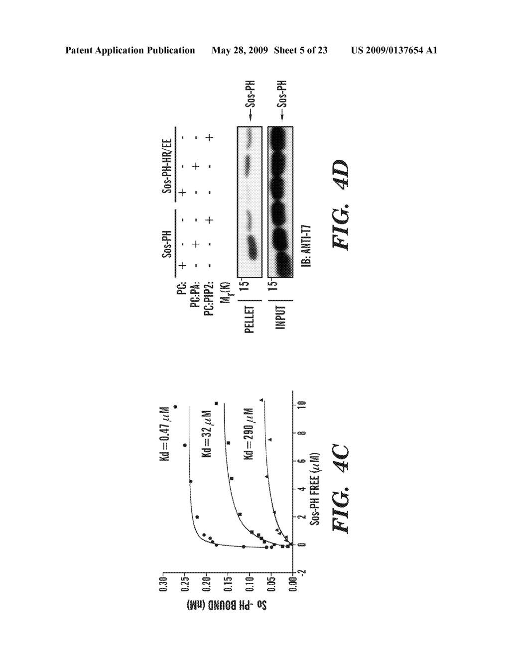 METHODS OF MODULATING BINDING OF SON OF SEVENLESS TO PHOSPHATIDIC ACID AND IDENTIFYING COMPOUNDS THAT MODULATE SUCH BINDING - diagram, schematic, and image 06