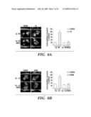 METHODS OF MODULATING BINDING OF SON OF SEVENLESS TO PHOSPHATIDIC ACID AND IDENTIFYING COMPOUNDS THAT MODULATE SUCH BINDING diagram and image