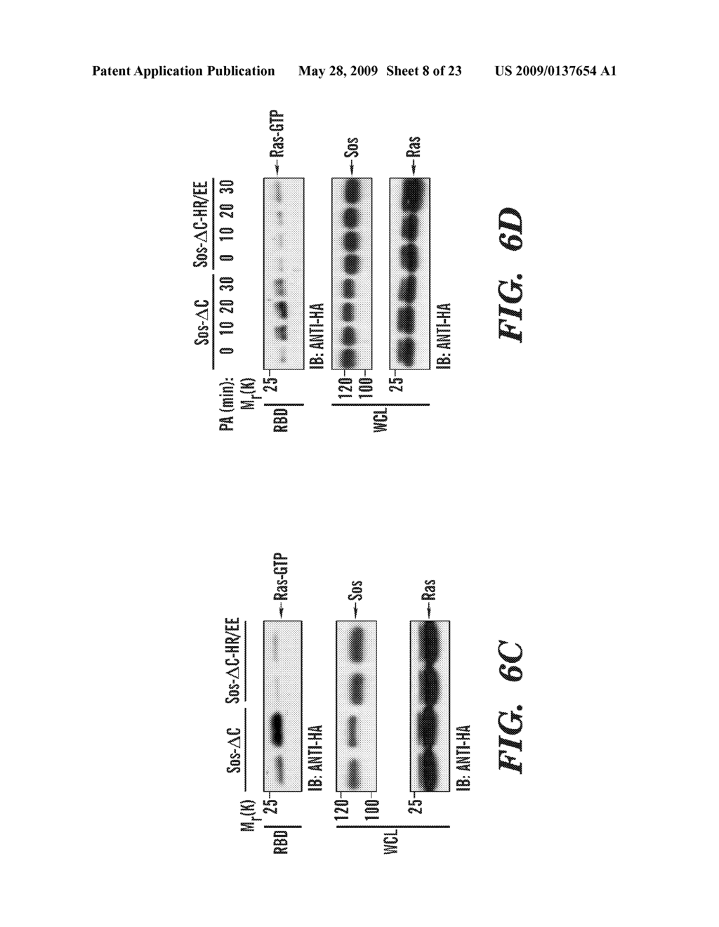 METHODS OF MODULATING BINDING OF SON OF SEVENLESS TO PHOSPHATIDIC ACID AND IDENTIFYING COMPOUNDS THAT MODULATE SUCH BINDING - diagram, schematic, and image 09
