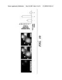 METHODS OF MODULATING BINDING OF SON OF SEVENLESS TO PHOSPHATIDIC ACID AND IDENTIFYING COMPOUNDS THAT MODULATE SUCH BINDING diagram and image