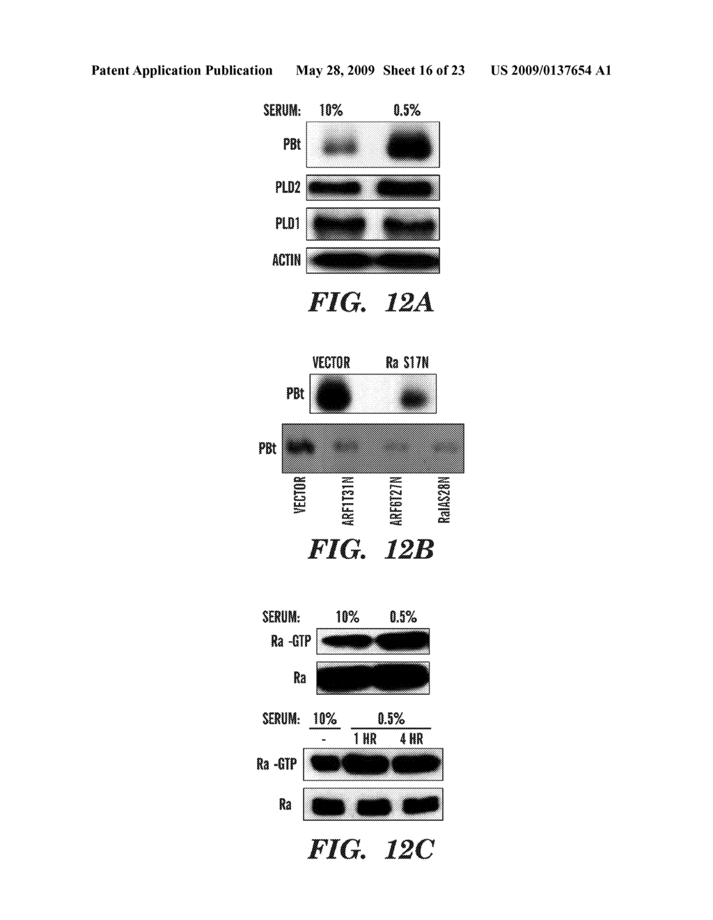 METHODS OF MODULATING BINDING OF SON OF SEVENLESS TO PHOSPHATIDIC ACID AND IDENTIFYING COMPOUNDS THAT MODULATE SUCH BINDING - diagram, schematic, and image 17