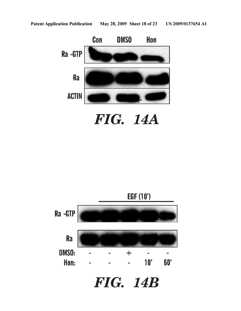 METHODS OF MODULATING BINDING OF SON OF SEVENLESS TO PHOSPHATIDIC ACID AND IDENTIFYING COMPOUNDS THAT MODULATE SUCH BINDING - diagram, schematic, and image 19