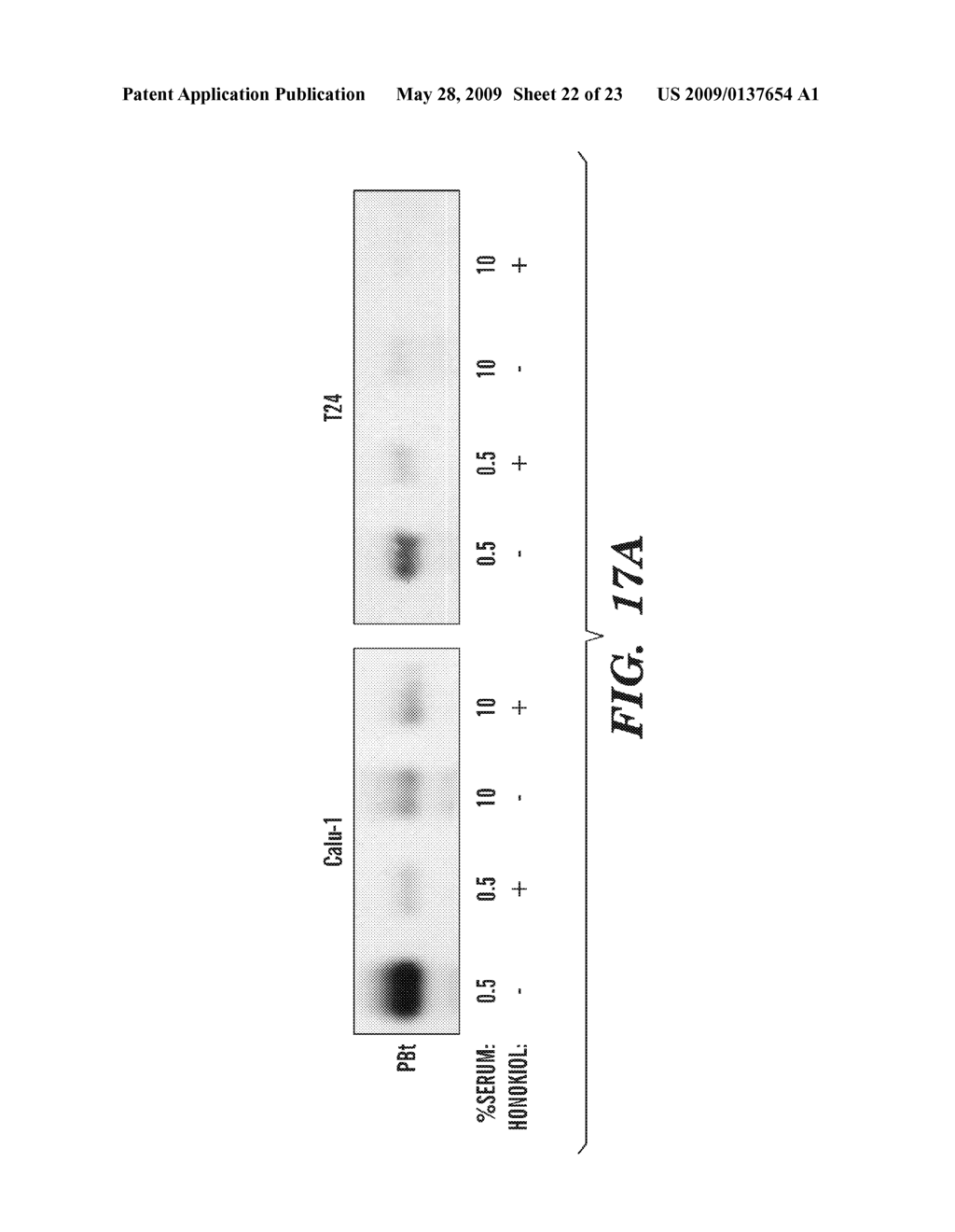 METHODS OF MODULATING BINDING OF SON OF SEVENLESS TO PHOSPHATIDIC ACID AND IDENTIFYING COMPOUNDS THAT MODULATE SUCH BINDING - diagram, schematic, and image 23