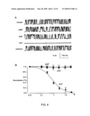 NOVEL NON-SELECTIVE CATION CHANNEL IN NEURONAL CELLS AND METHOD FOR TREATING BRAIN SWELLING diagram and image