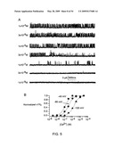 NOVEL NON-SELECTIVE CATION CHANNEL IN NEURONAL CELLS AND METHOD FOR TREATING BRAIN SWELLING diagram and image